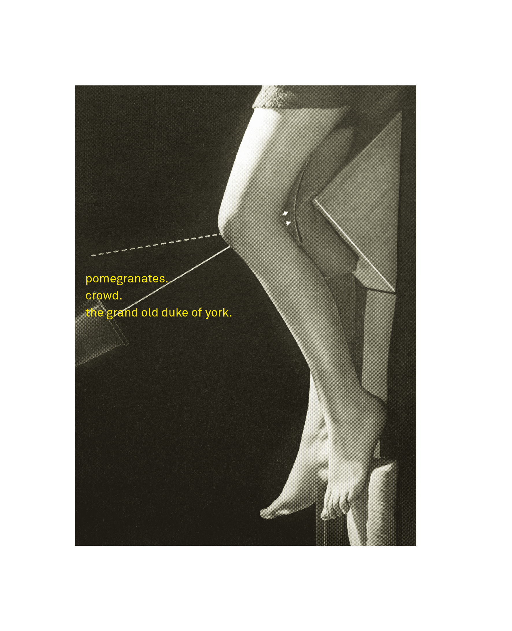 アート・デザイン・音楽 Masterpieces of Medical Photography アート・デザイン・音楽 Masterpieces of Medical Photography アート