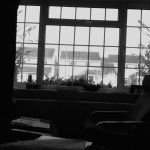 Privilege and Pain: Why the Medical Humanities Matter