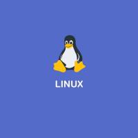 You're Not Seeing Things; Microsoft Brings 1st Office App to Linux