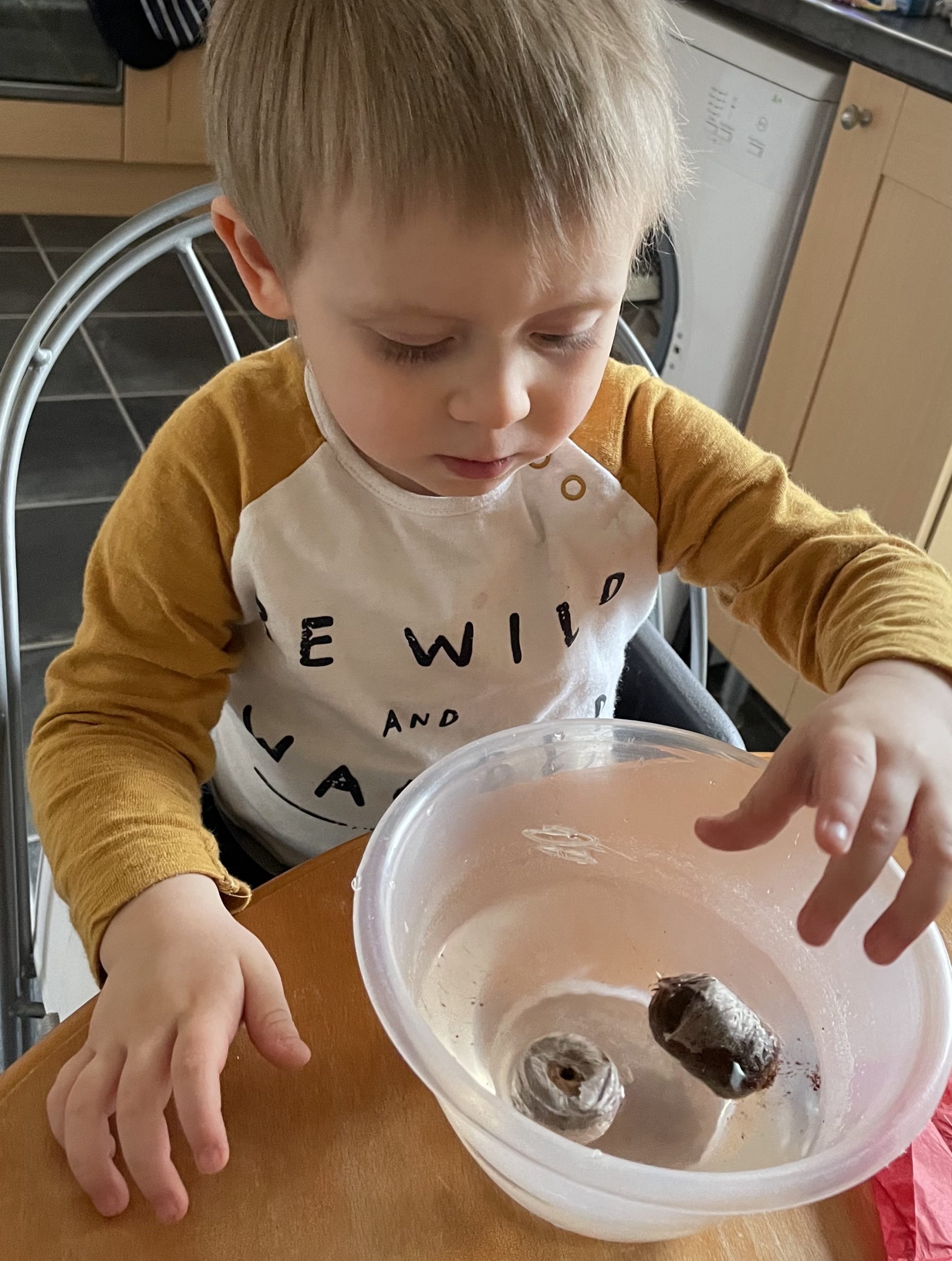 Little J is sat at a wooden table. He is wearing a white top with mustard yellow sleeves. He has a small bowl of water in front of him and he is dropping in two Compost pellets