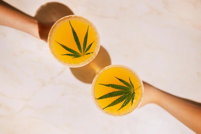 cannabis drinks