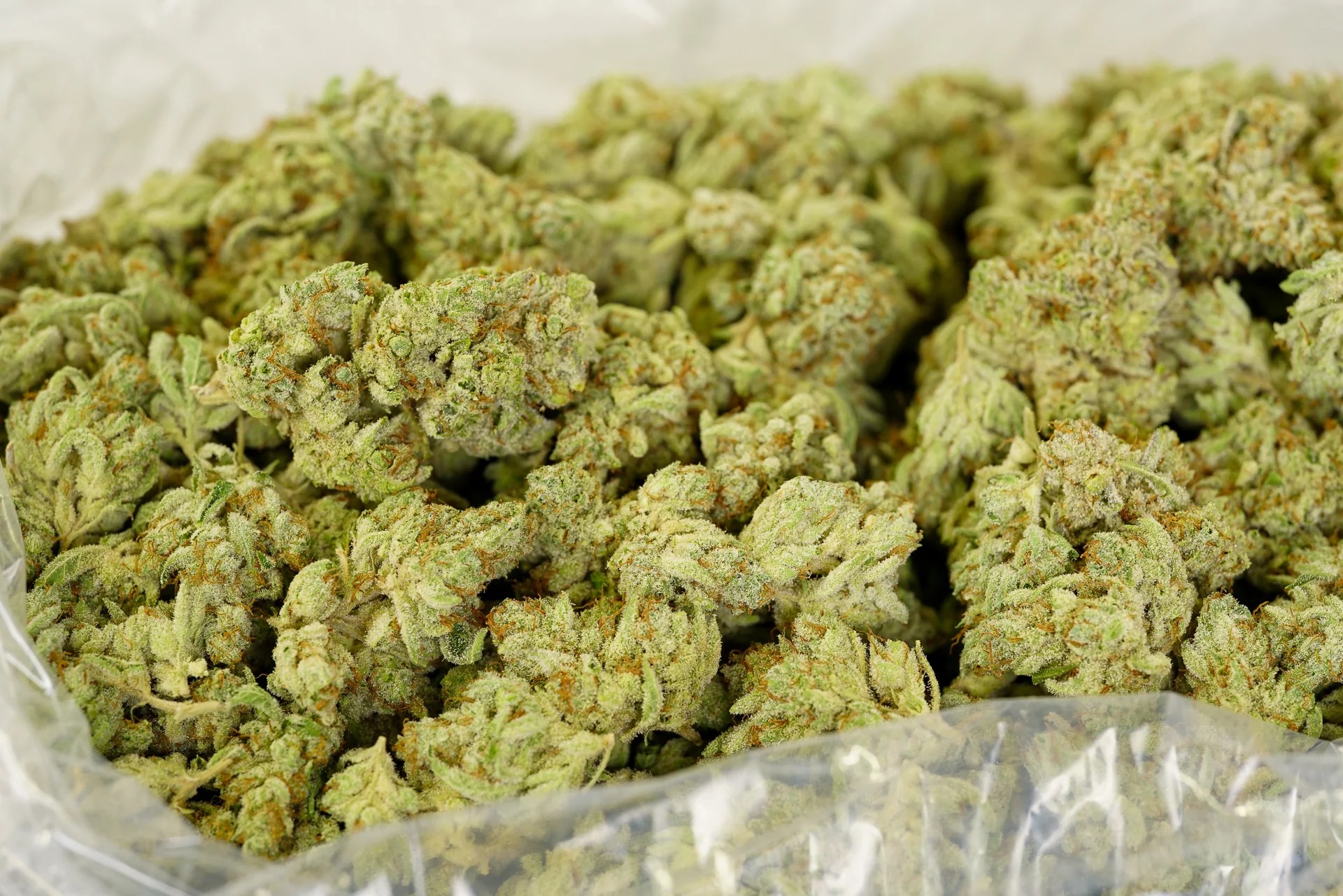 og kush