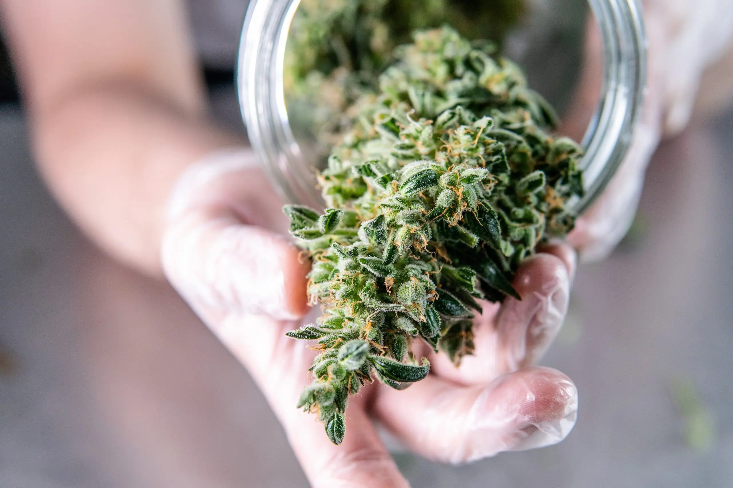 relaxing weed