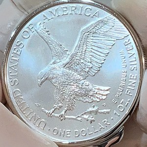 EAGLE SIDE ~ *2023* EAGLE 1 Oz. 0.999 PURE SILVER MONEY CLIP