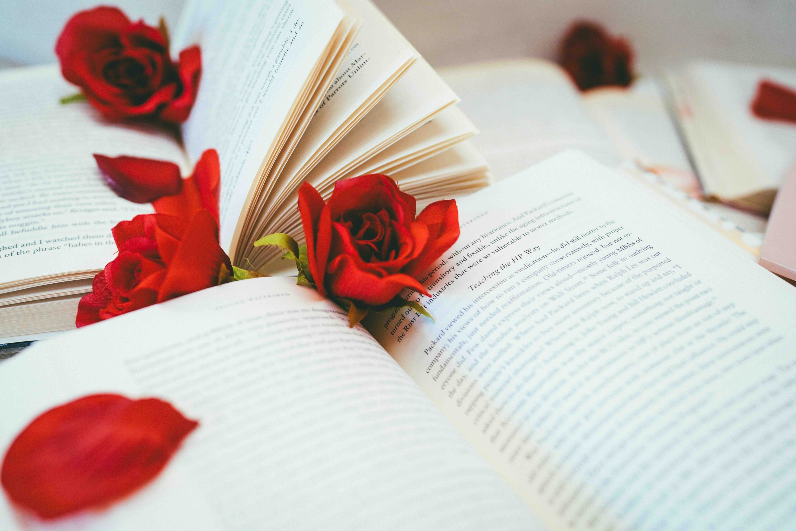 Roses sitting on a book signifying wholesome romance stories