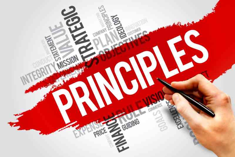 The Key Principles of Startup Success: A Guide for Entrepreneurs - RAISE fosters startup growth and scale-up within and across Europe