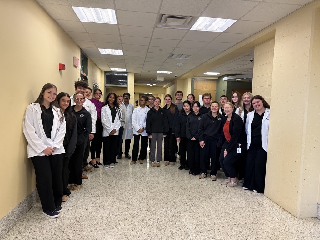 MedPath and A&P students learn human anatomy at Gannon’s cadaver lab