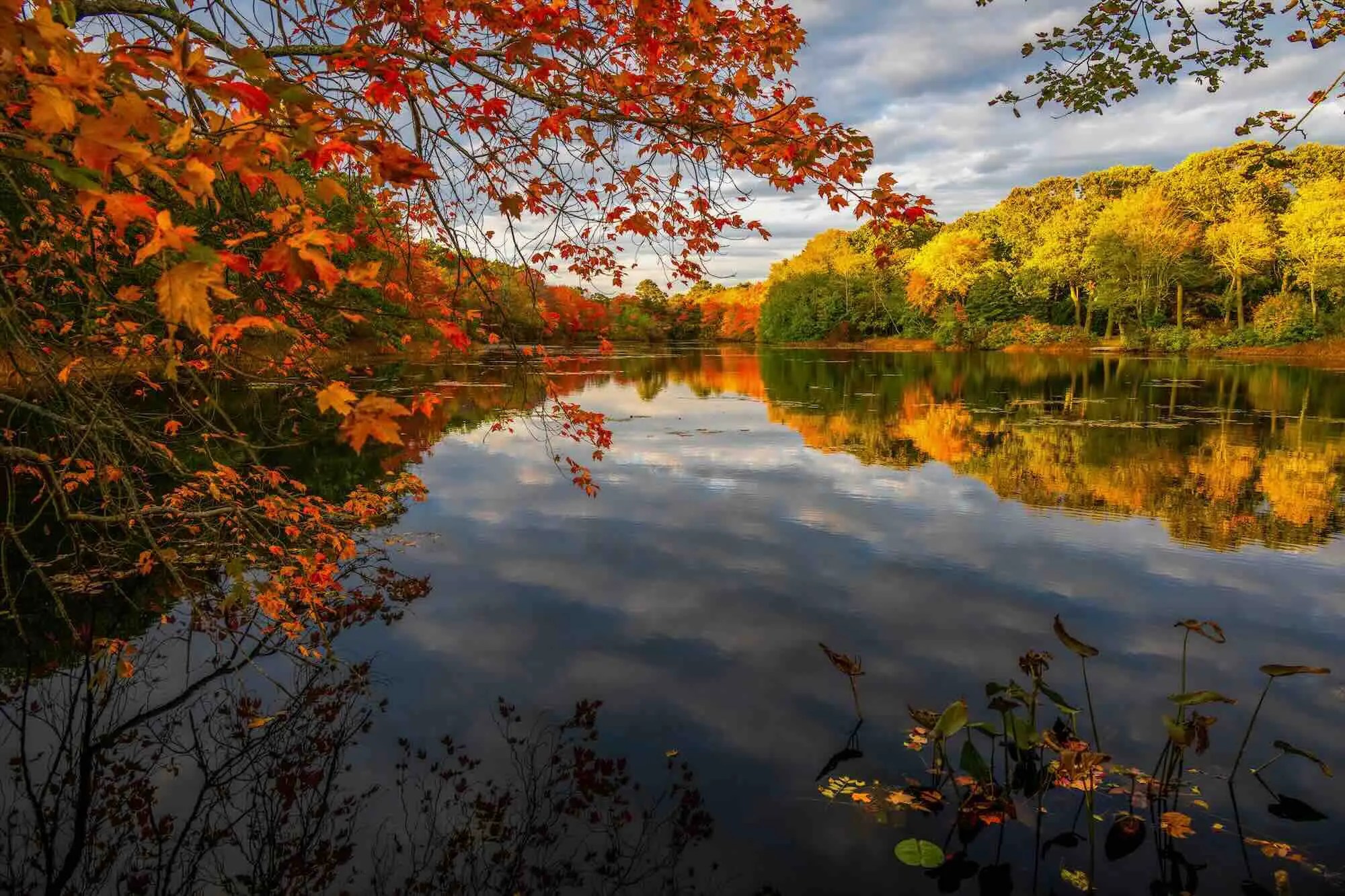 Leaf Peeping NY Fall Foliage Getaways Rams Head Inn Leaf Peeping 1 .webp