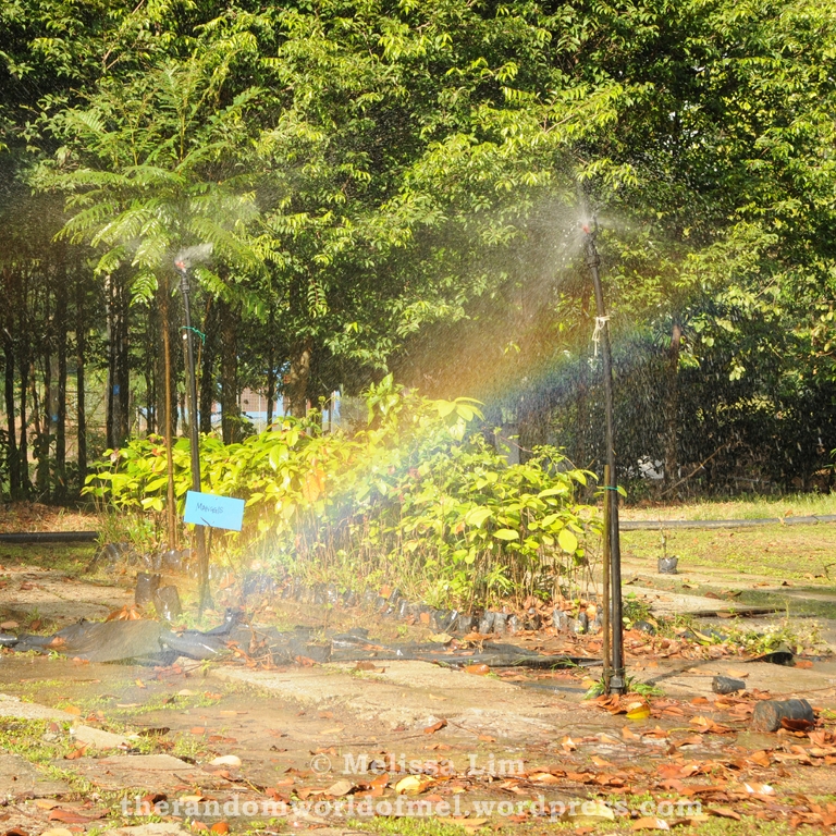 Sometimes we need to make our own rainbows :)