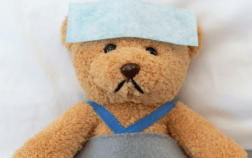 Teddy bear with a wash cloth on it's forehead, ymbolizing comfort for toddlers during a cold. Learn tips for managing toddler colds with soothing strategies and recovery advice.