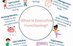 Infographic titled “What is executive function?” with labeled sections highlighting key skills such as self-control, emotional control, working memory, flexible thinking, and organization.