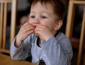 Paper File Folder Group Project Presentation
