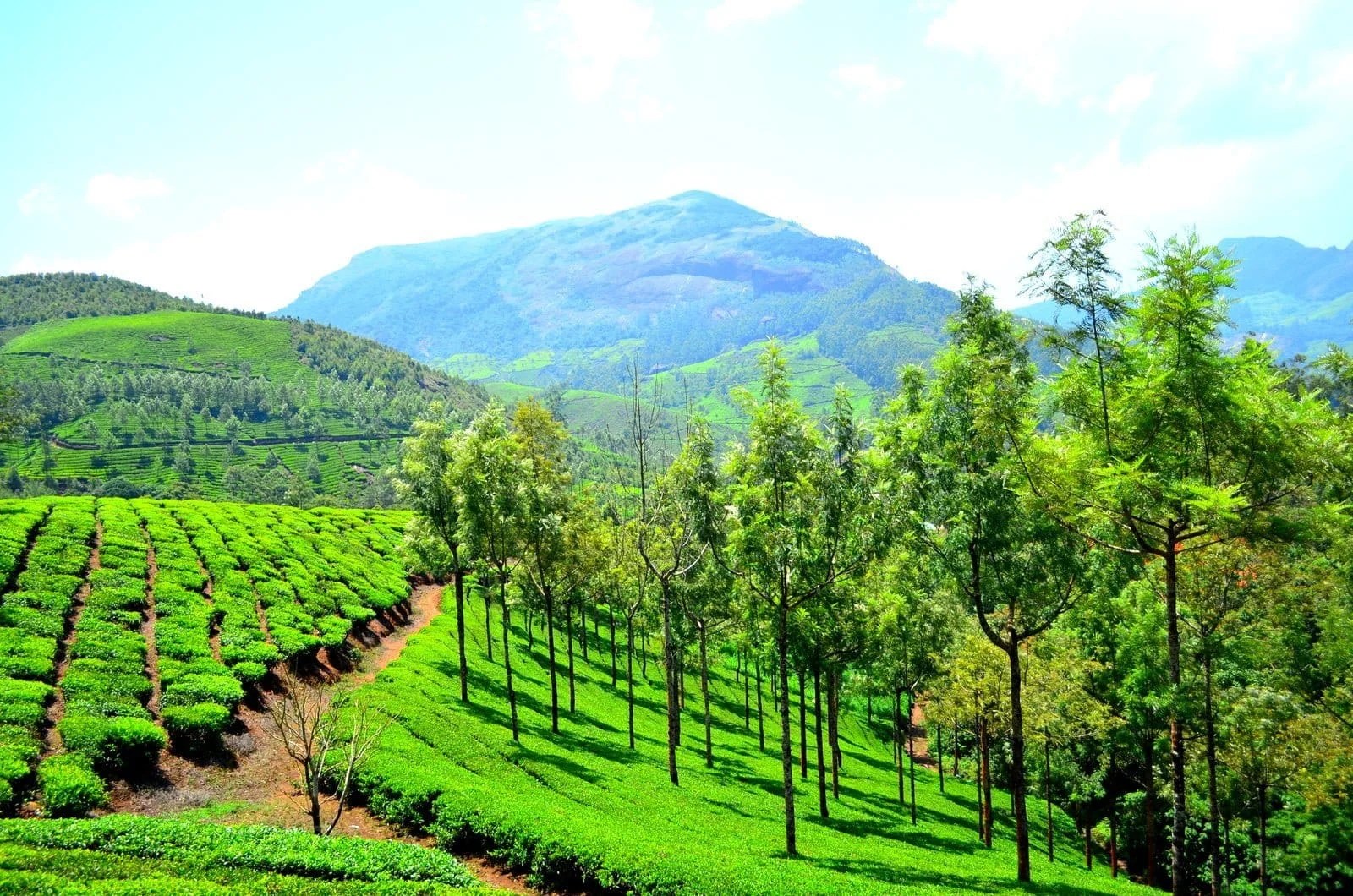 7 Places in India To Visit This March Month