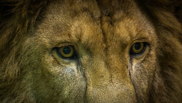 18 Ways to a Strong Mindset