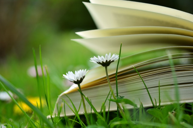 6 Books that helped my Business Journey