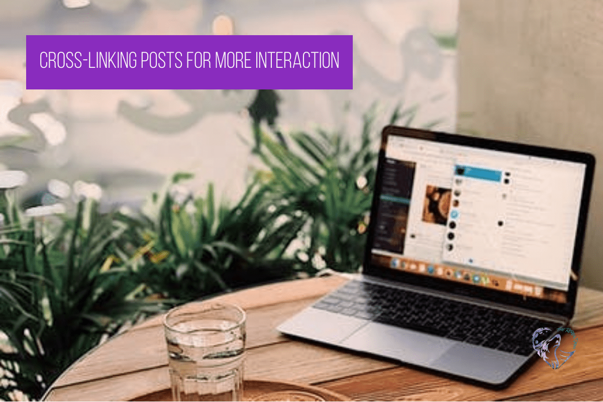 Cross-Linking Posts for More Interaction
