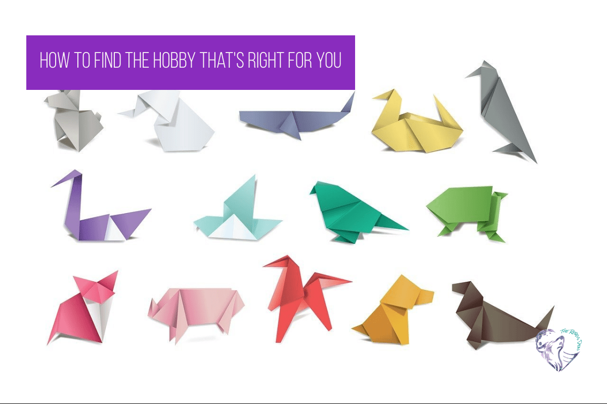 How to Find the Hobby That's Right for You