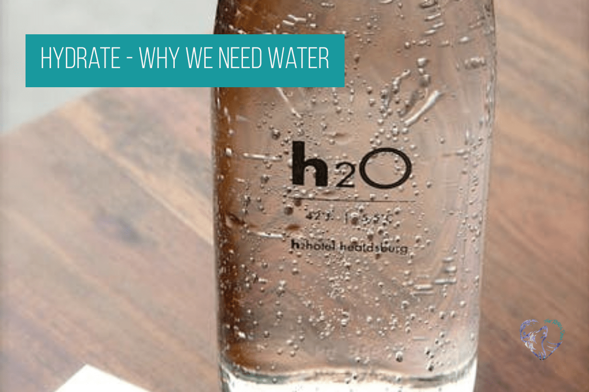 Hydrate - Why We Need Water