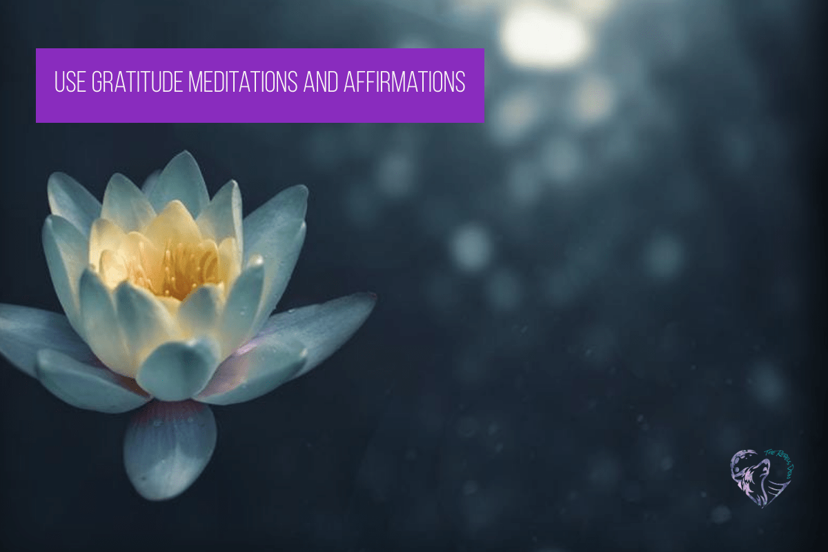 Use Gratitude Meditations and Affirmations