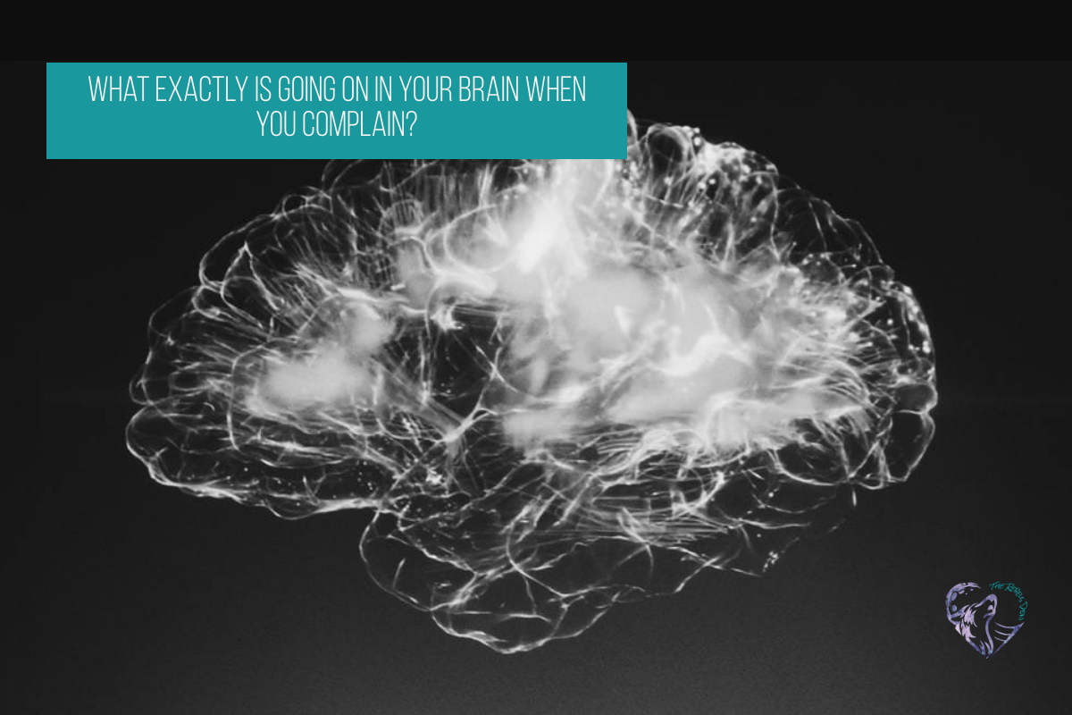 What Exactly Is Going On In Your Brain When You Complain?