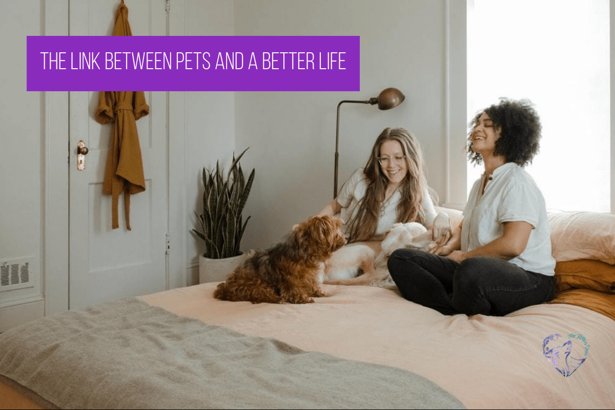 The Link Between Pets And A Better Life