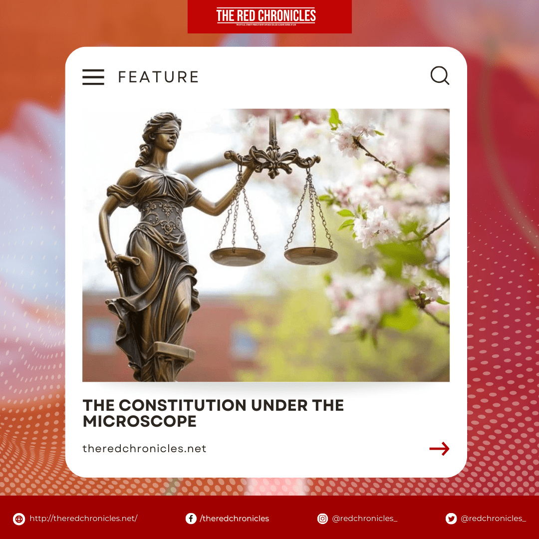 The Constitution under a Microscope