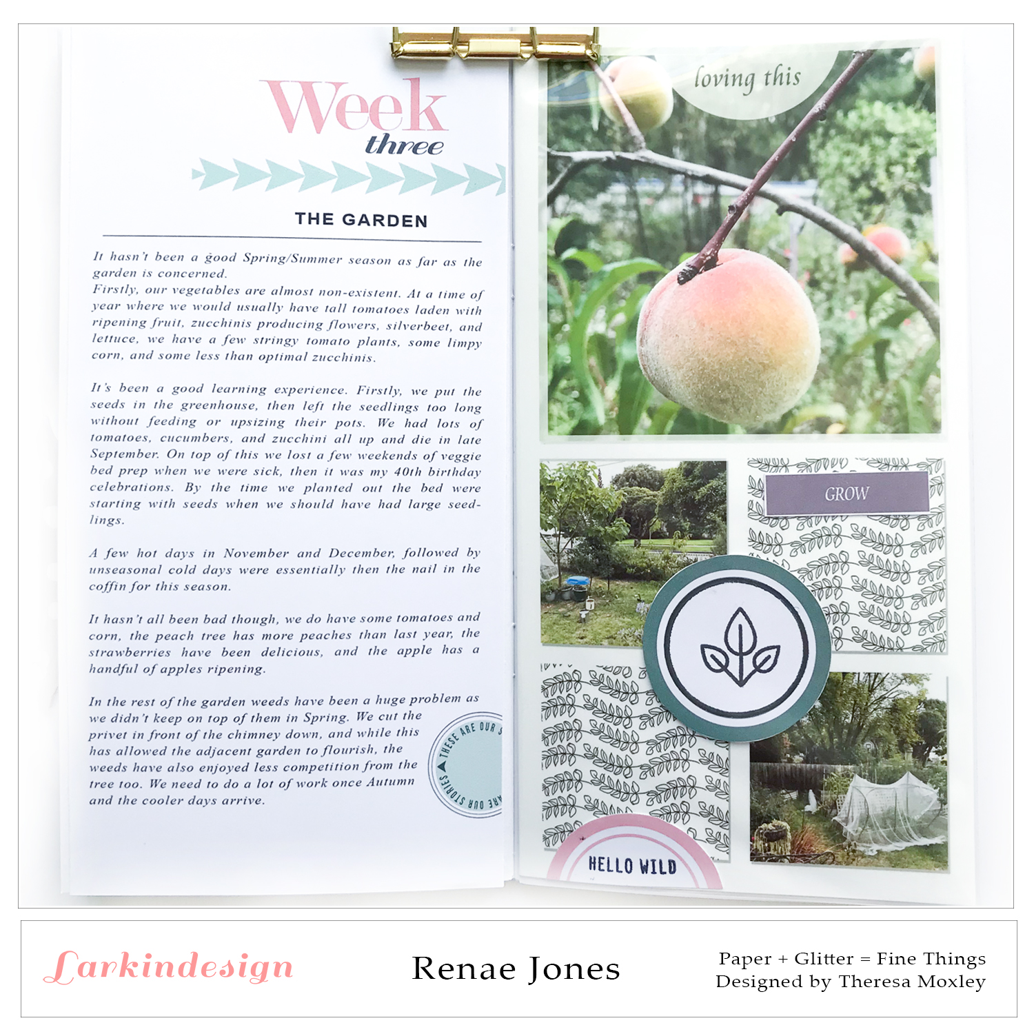 RenaeJonesProjectTwo