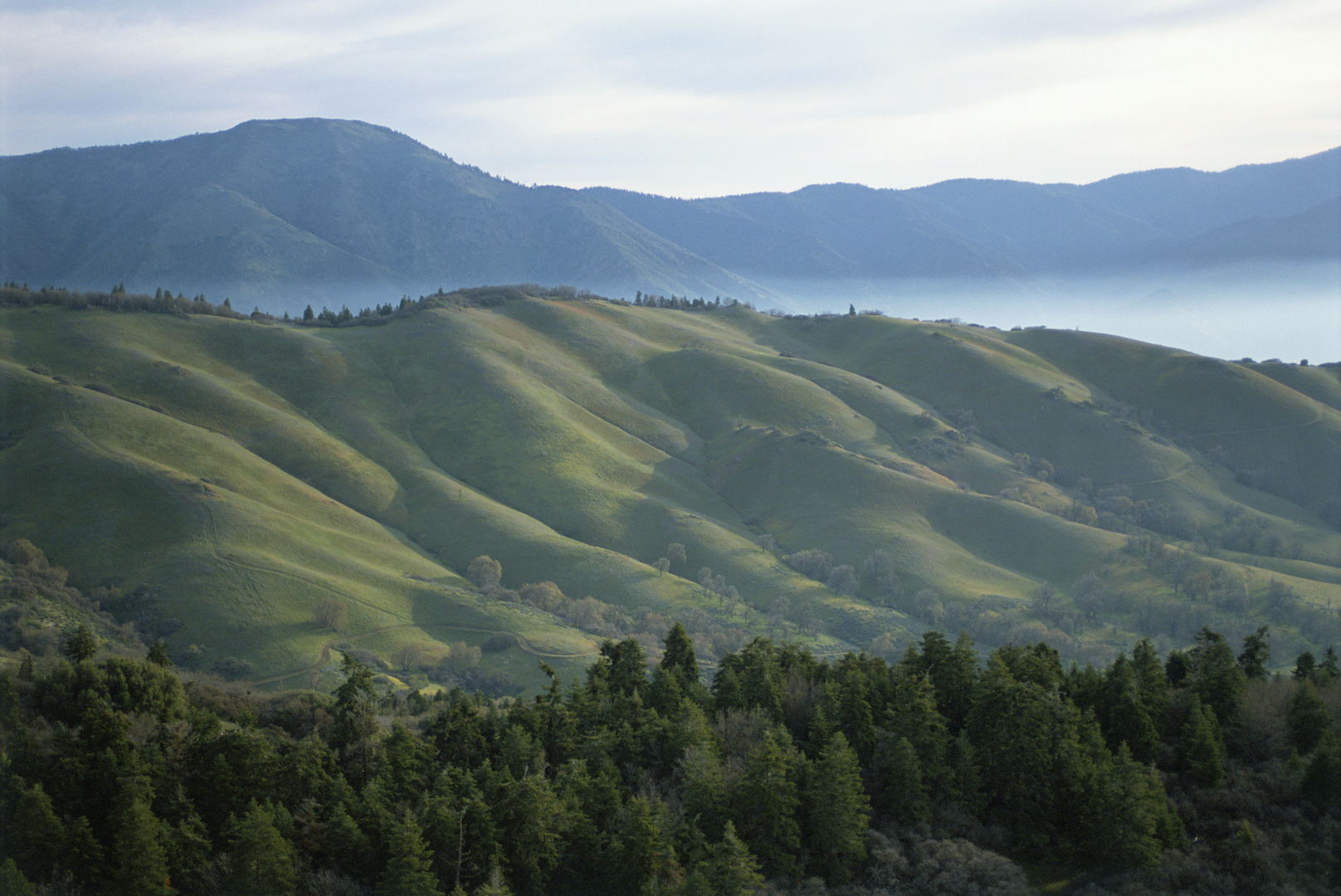 Tejon Ranch, Los Angeles, Centennial at Tejon Ranch, Western Economic Opportunity Zone