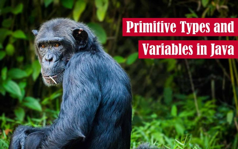 Primitive Types And Variables In Java The Renegade Coder - Modern Gradient Image - Ultra HD