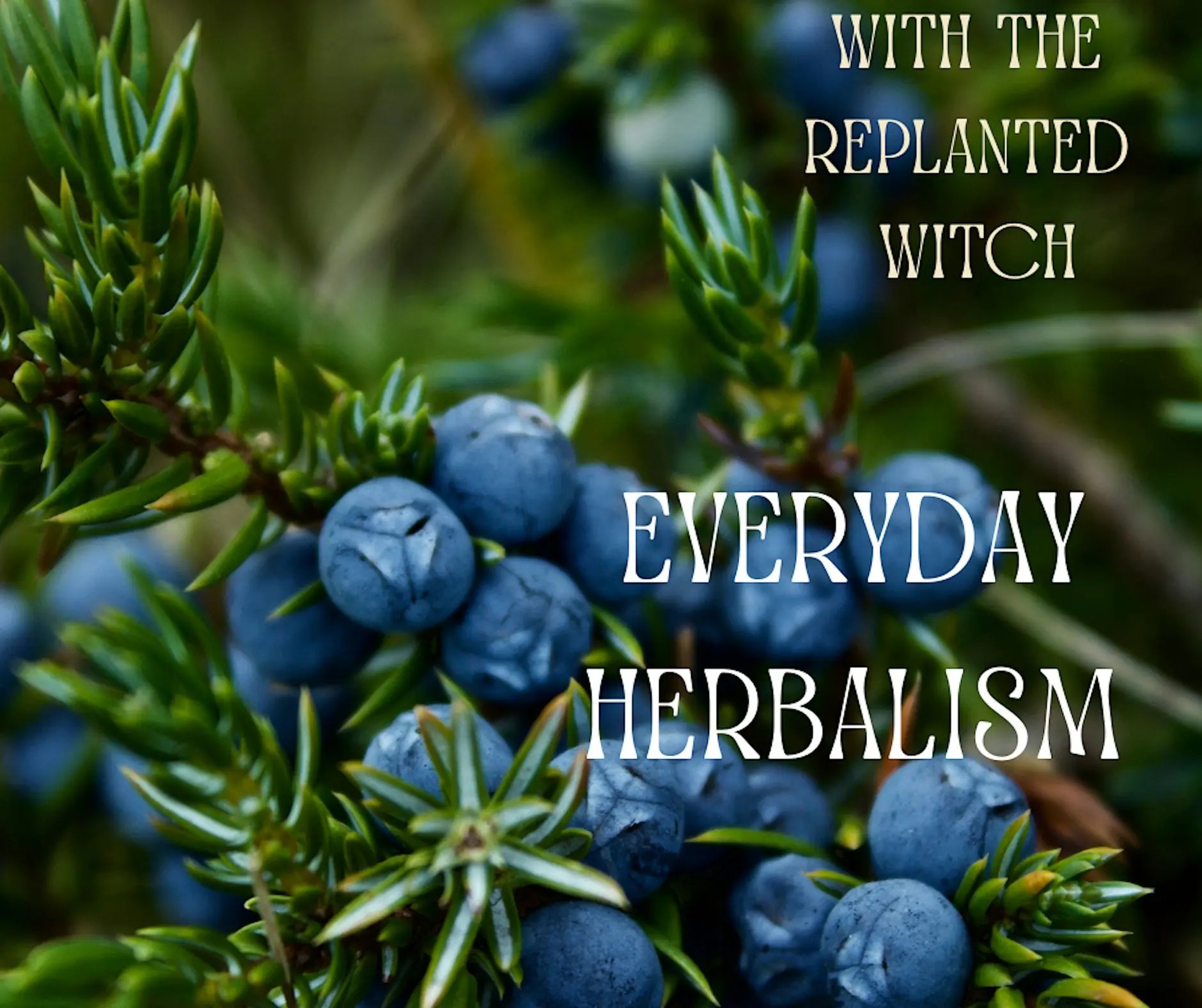 9/18/26 Everyday Herbalism
