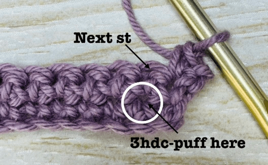 Placement of the puff stitch in the crochet wash cloth is in row 1.