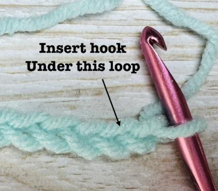 to begin the first extended single crochet, you will insert your hook in the second ch from the hook,