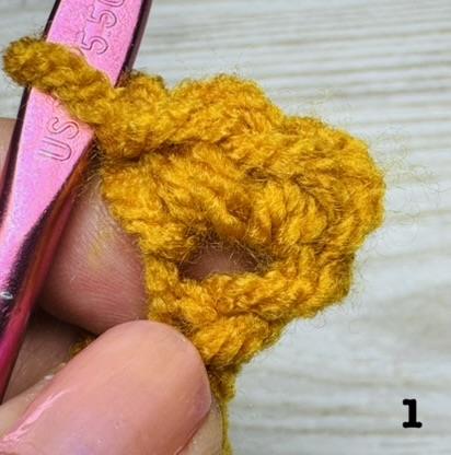 Step 1, row 1 of the Chevron stitch is 2 single crochets in the first stitch.