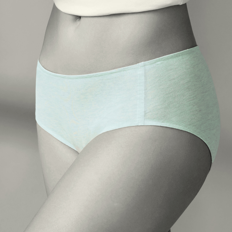 Panty-V2