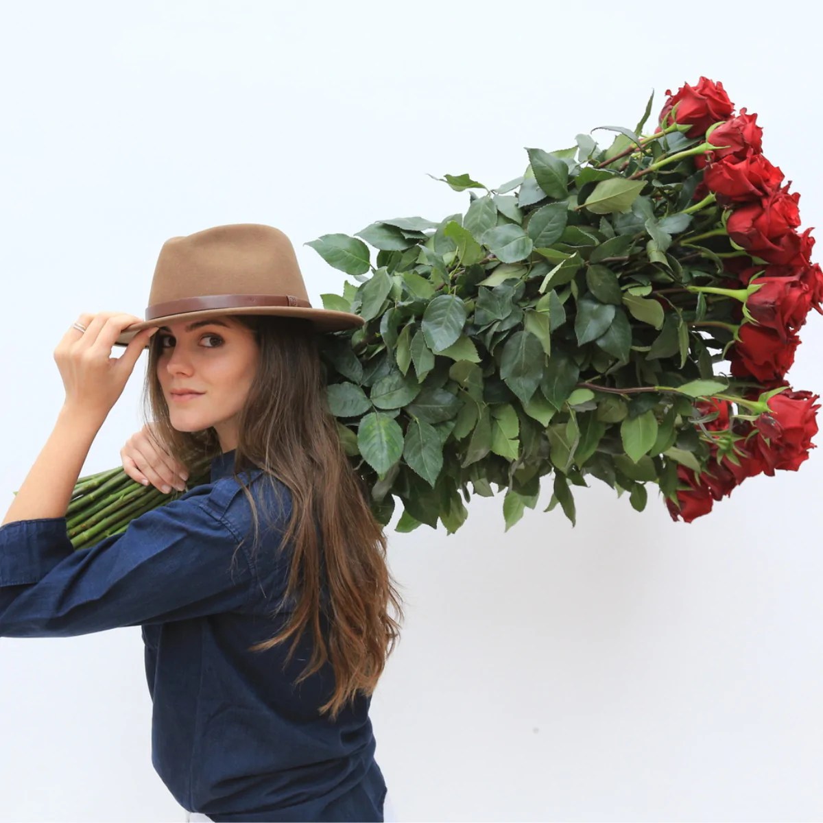 Rosaholics Long Stem Roses