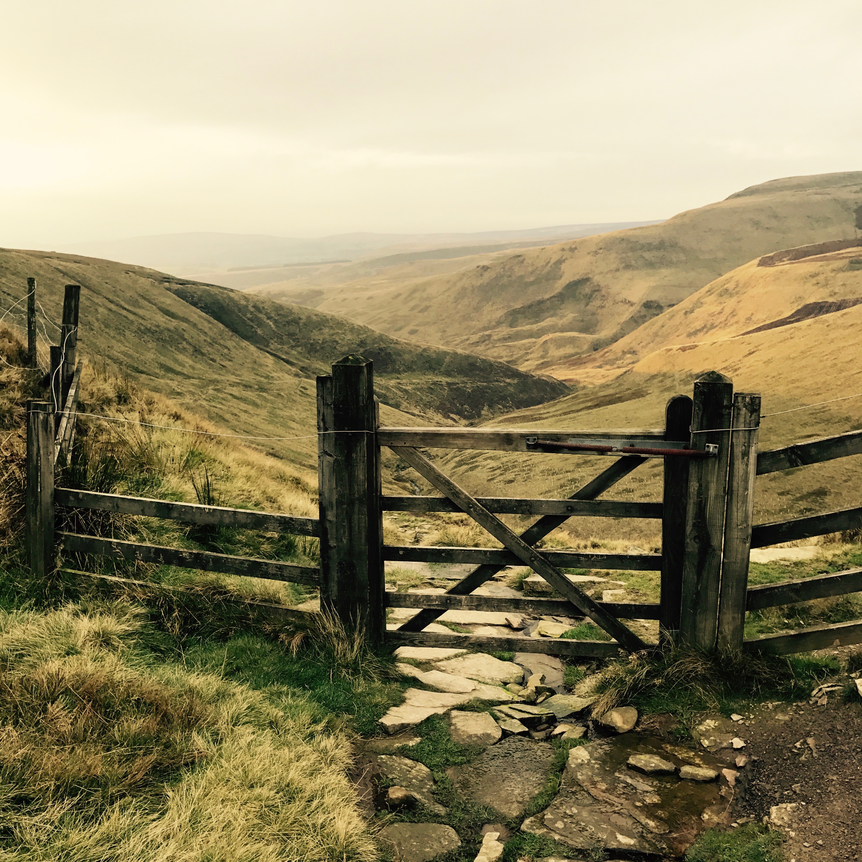 Doctor's actual gate?