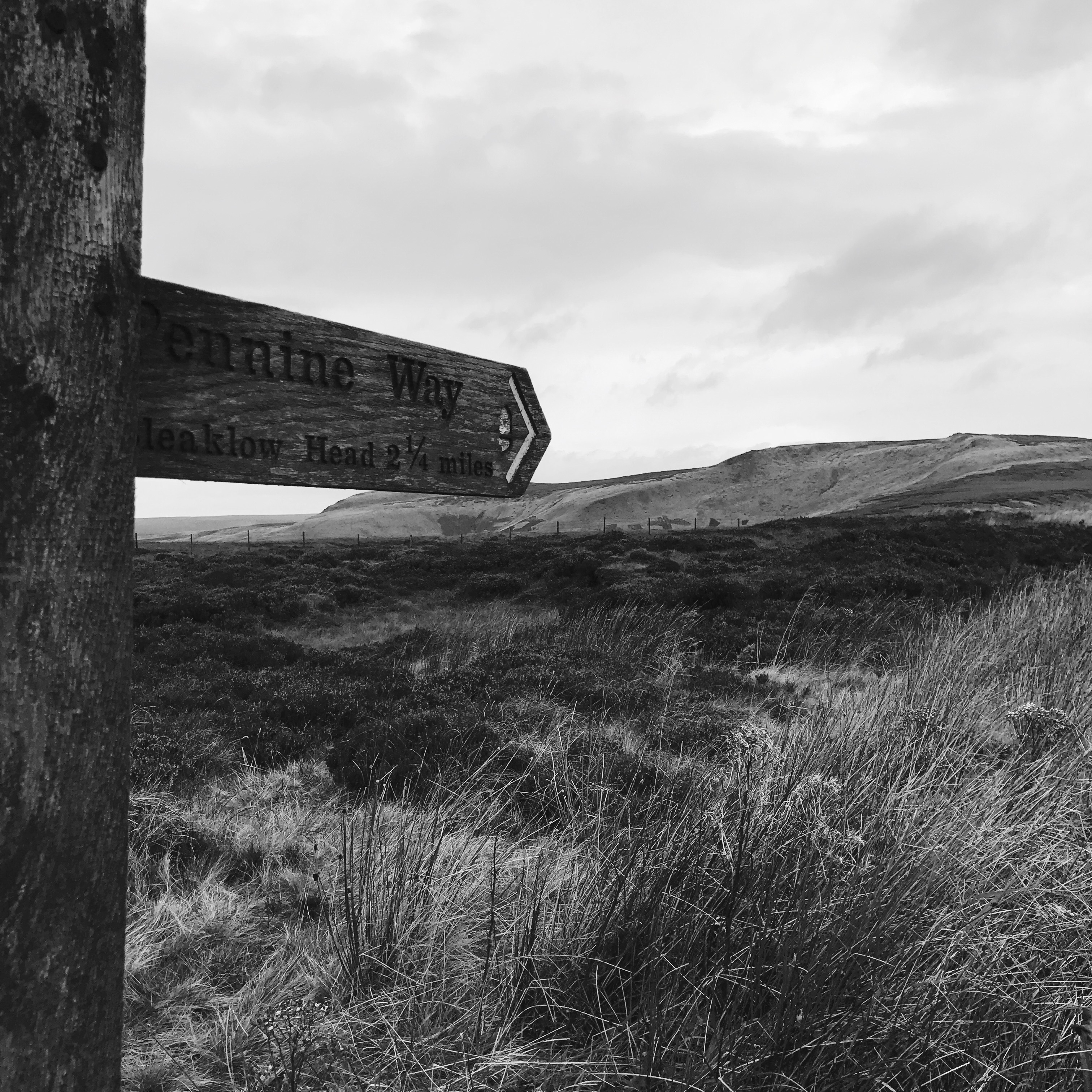 Pennine Way sign Ashop Moor