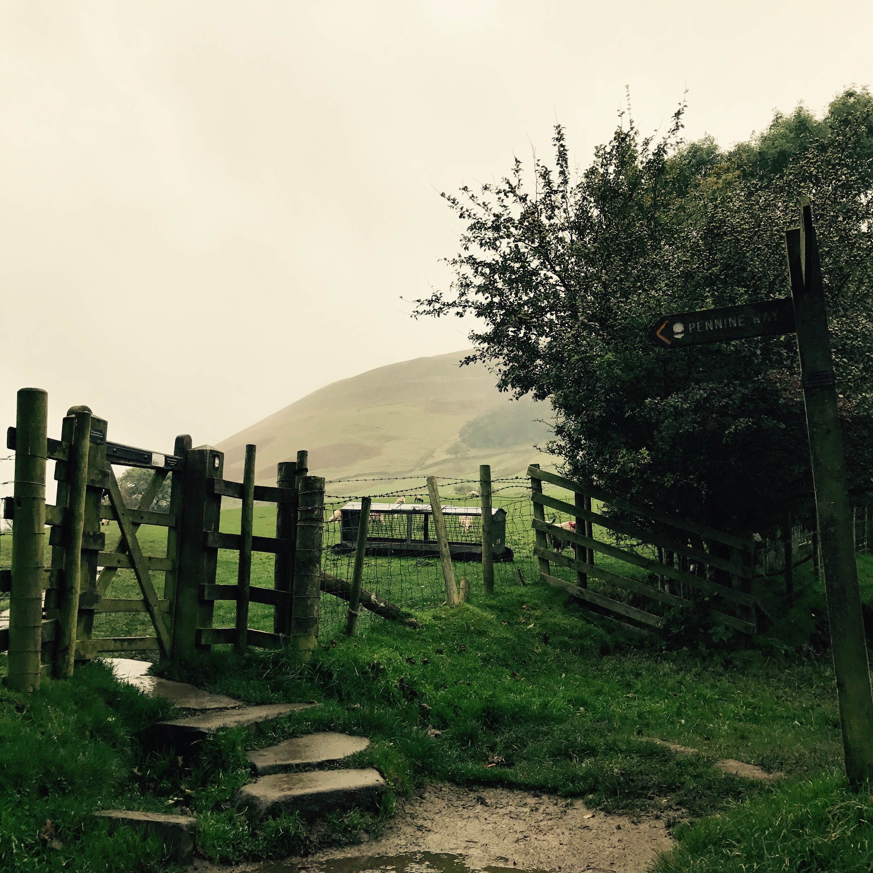 Out to the Pennine Way