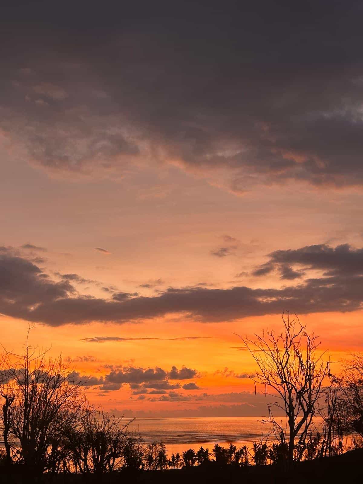 mastering international cell phone use