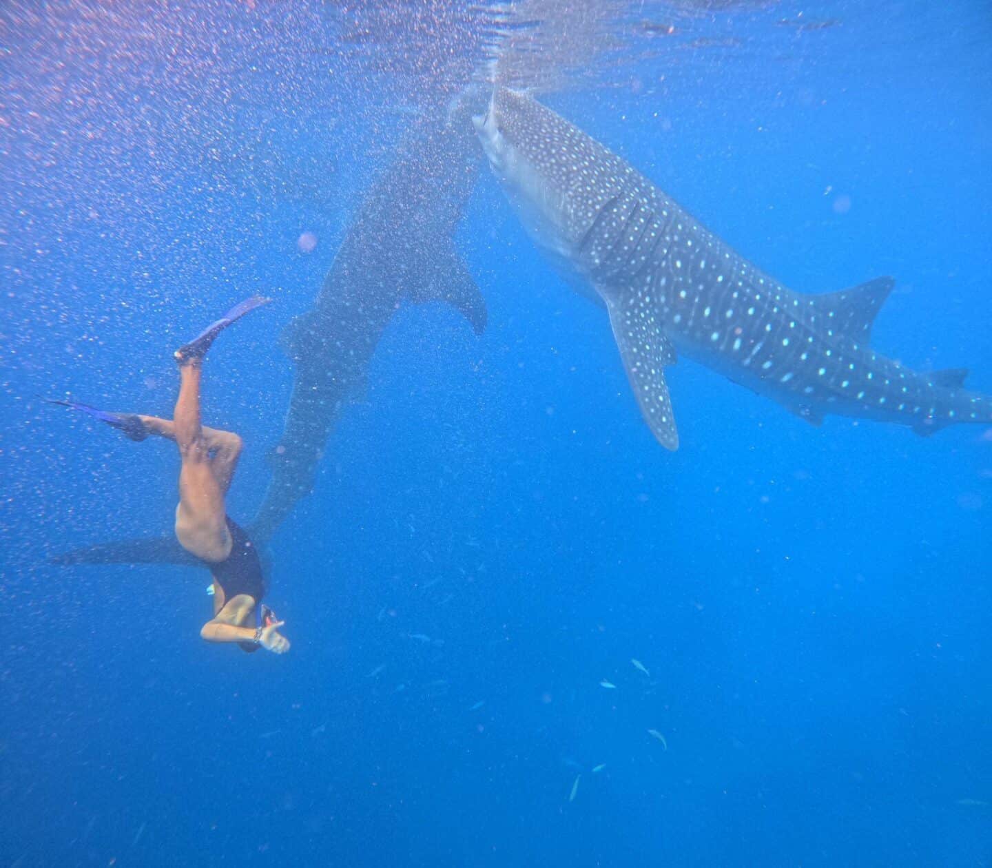 staying connected while traveling