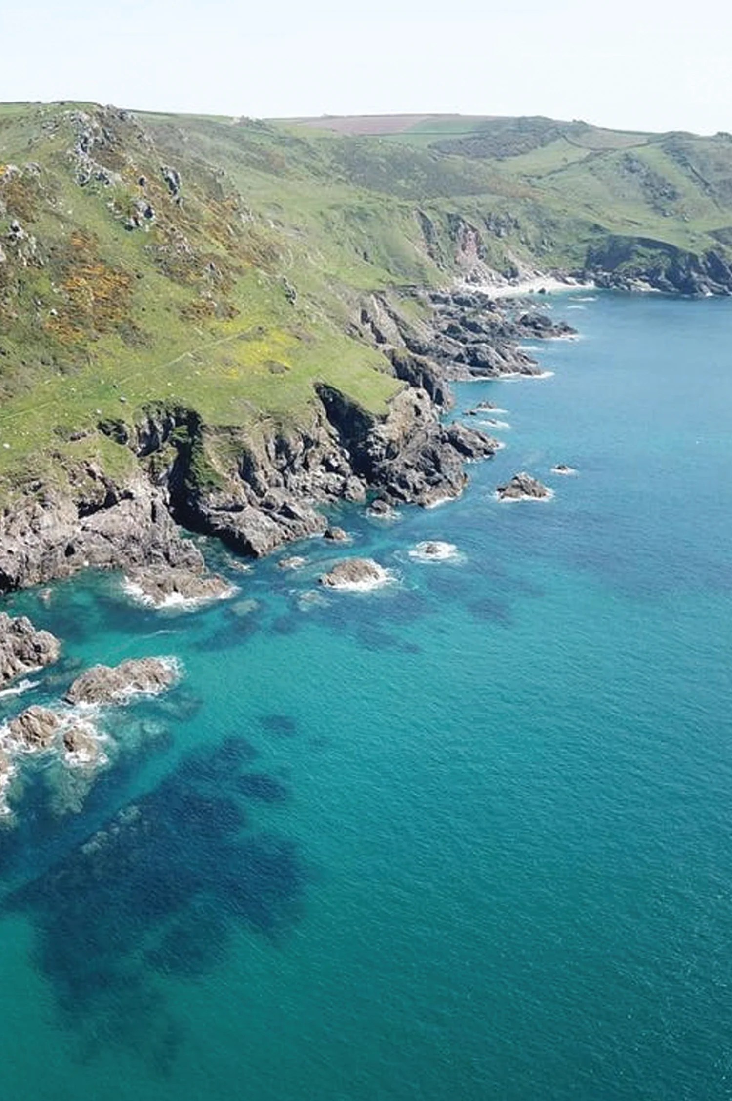 Devon Environment Foundation Instagram Linktree - Premium Space Photo Gallery - HD