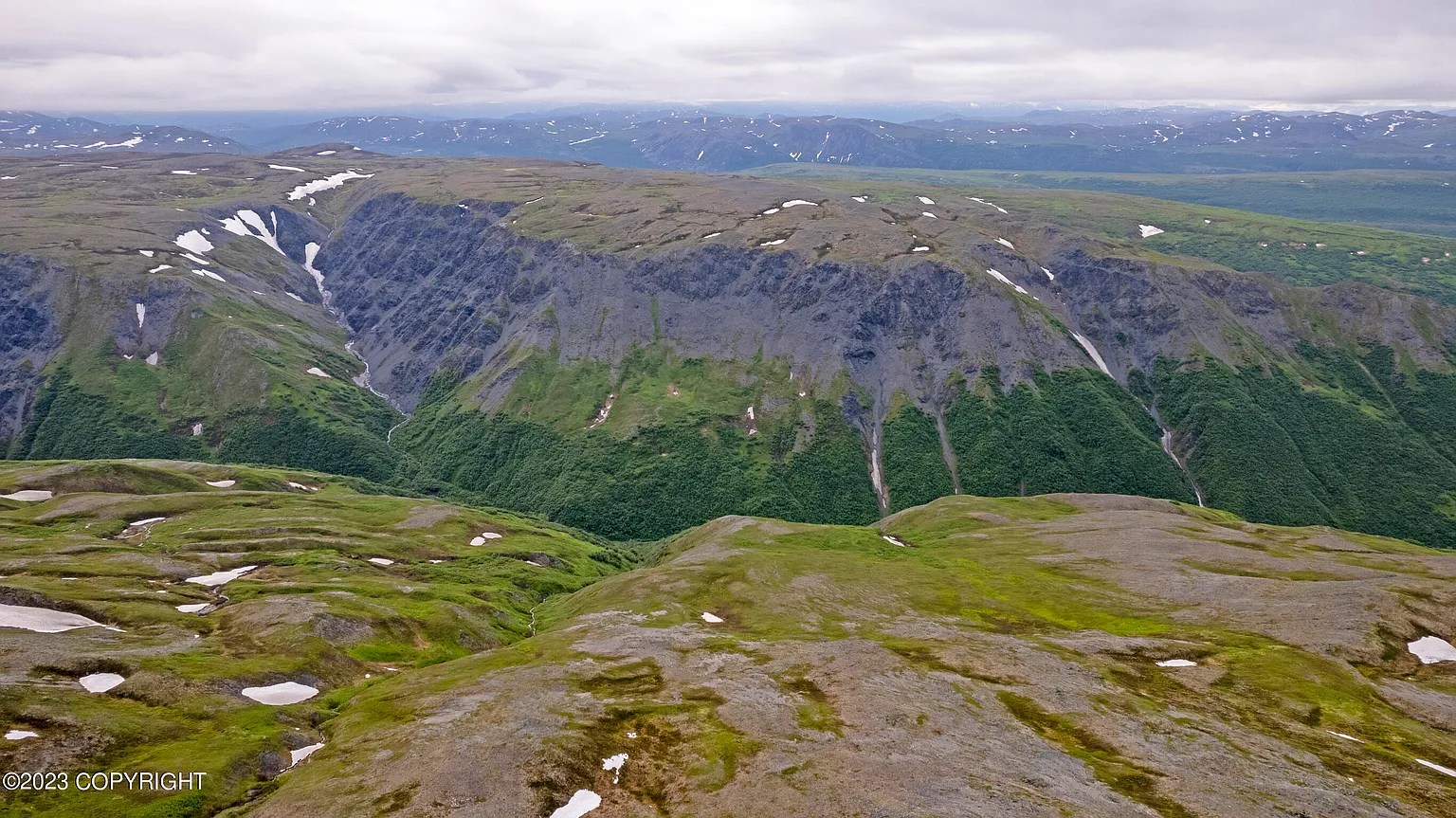 50