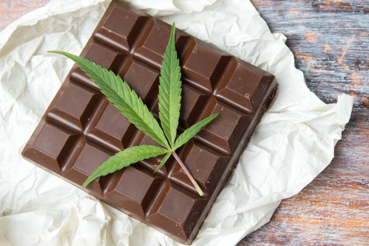 Marijuana leaves on top of dark chocolate