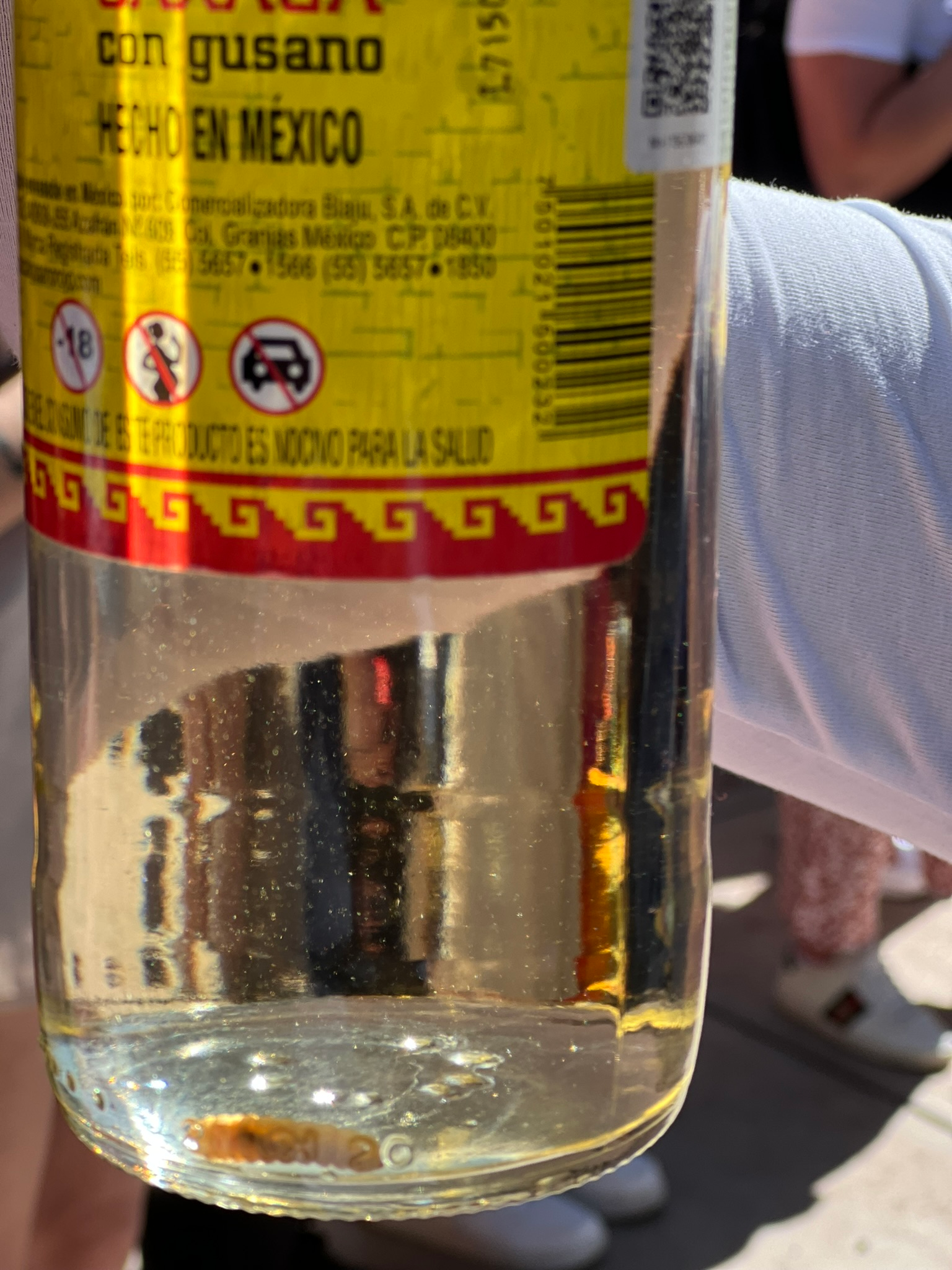 Worm at the bottom of a mezcal bottle