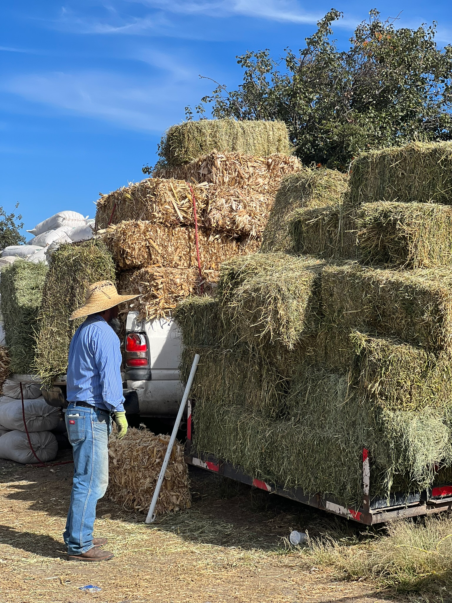 Farmer in San Nicolás de los Ranchos