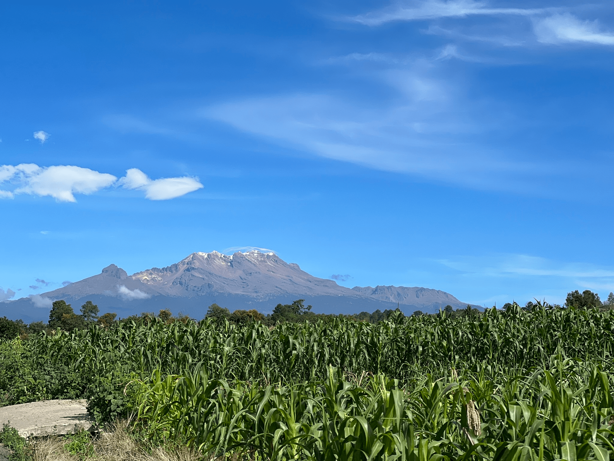 Iztaccíhuatl Mountain in the background
