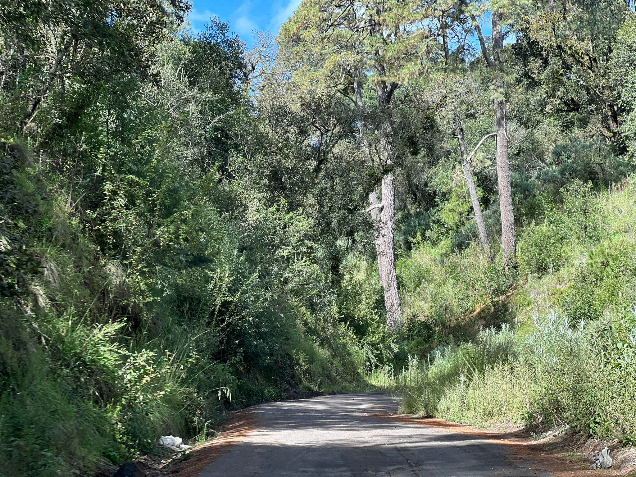 Mega bumpy dirt road
