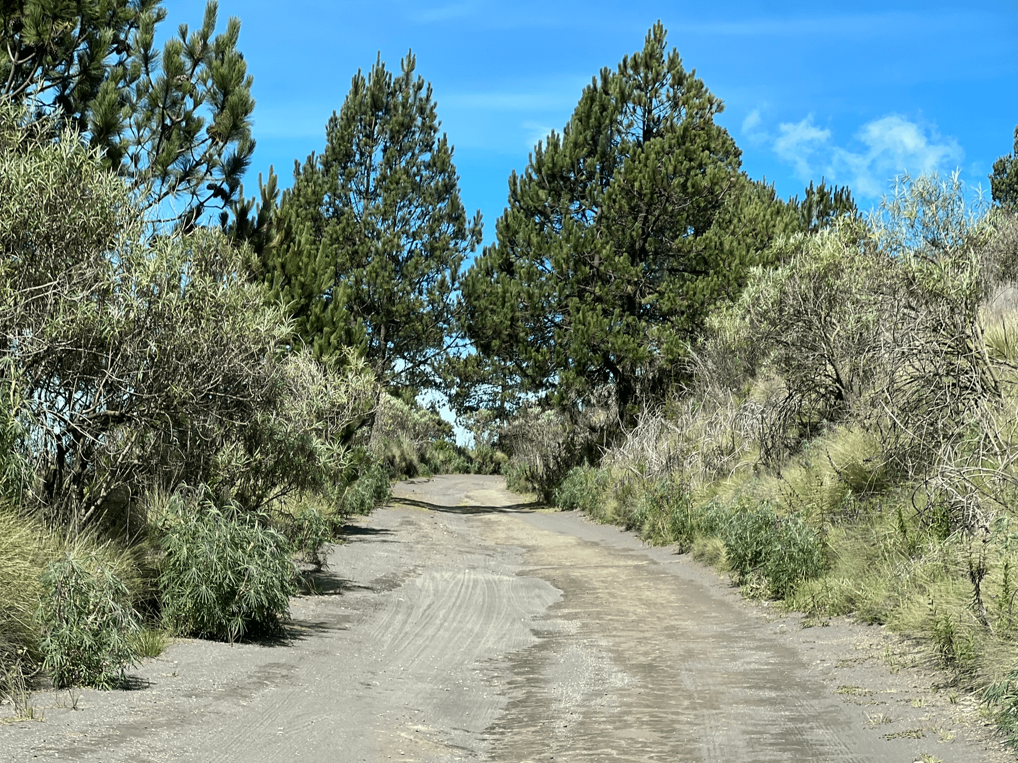 Super bumpy dirt road