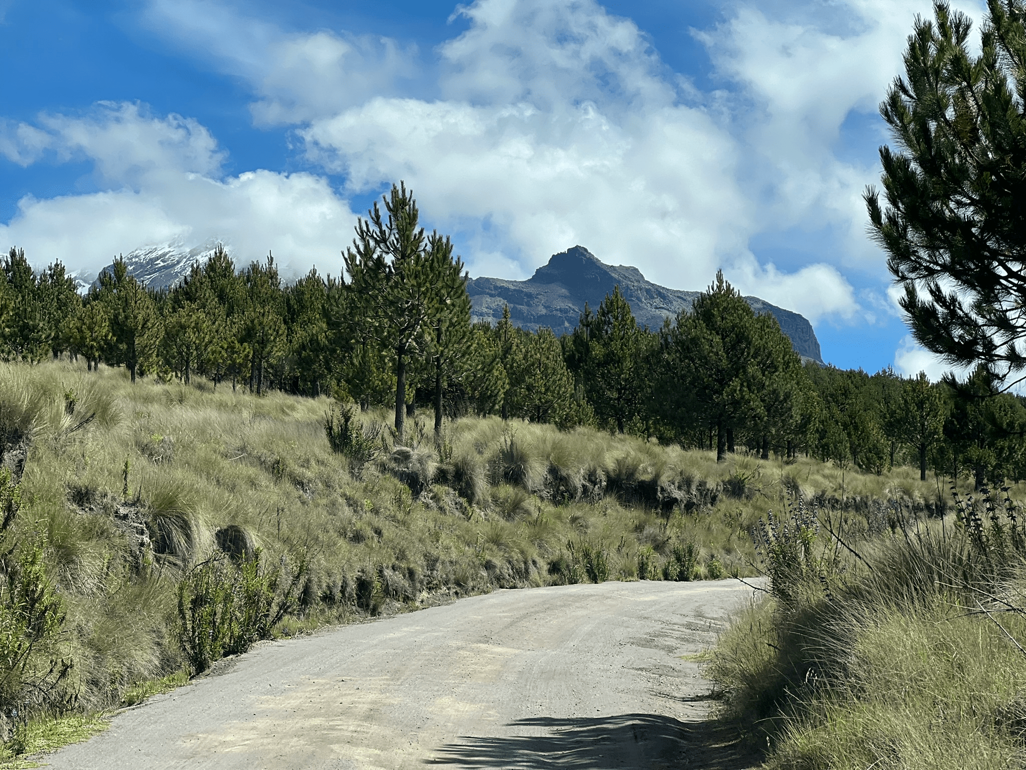 Bumpy dirt road