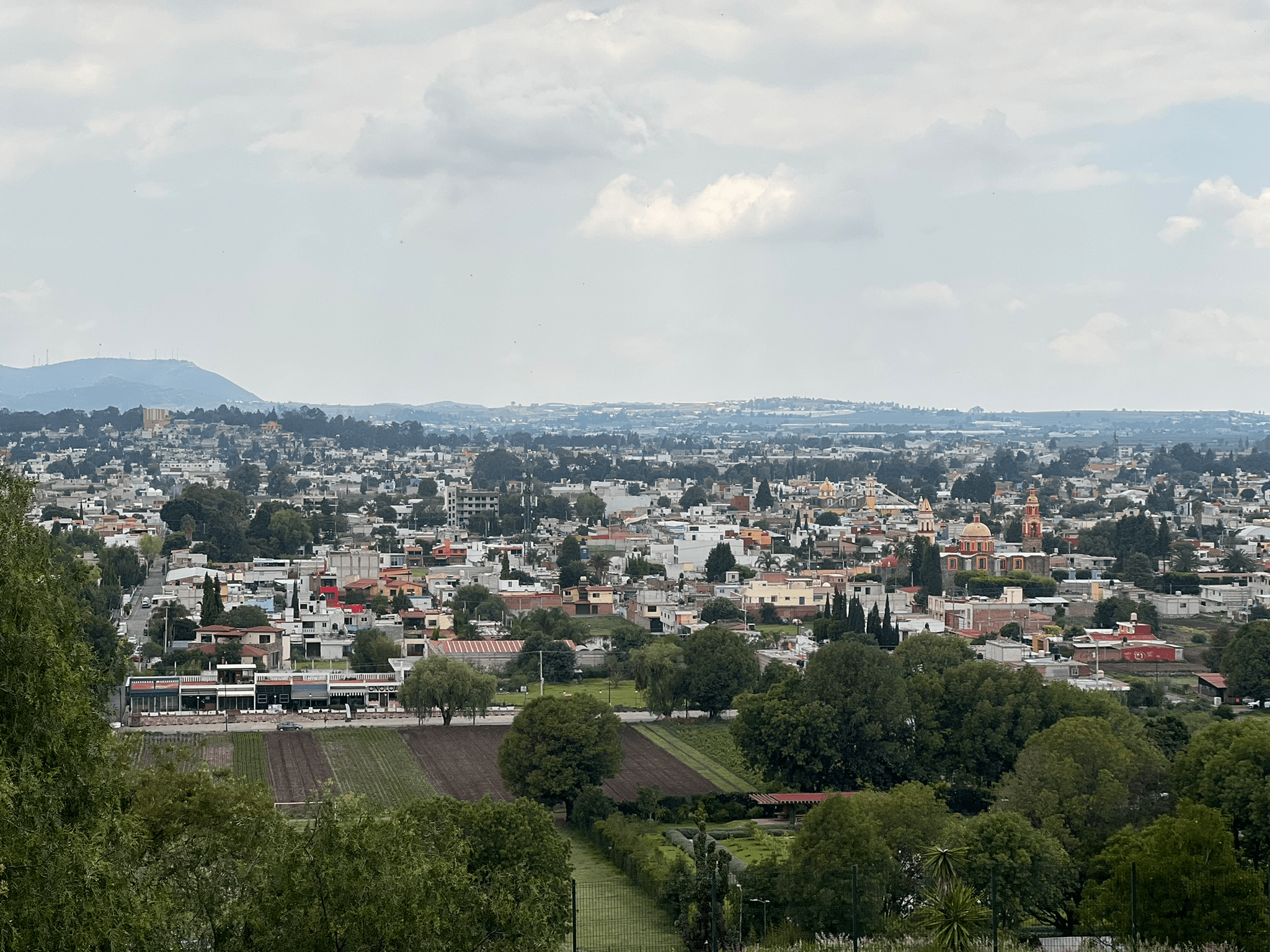 View from atop the hill